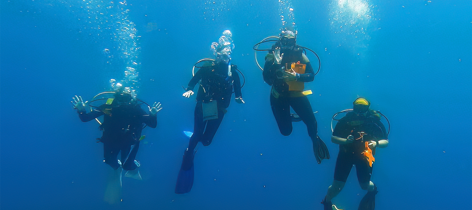 Marine biology students in ocean